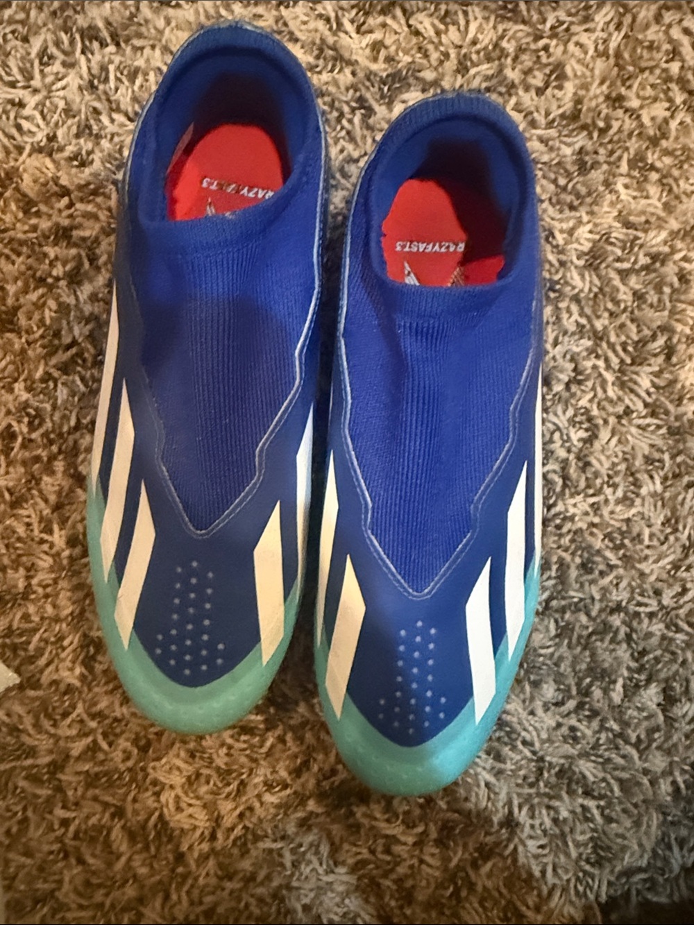 adidas Blue and Teal Laceless Soccer Cleats